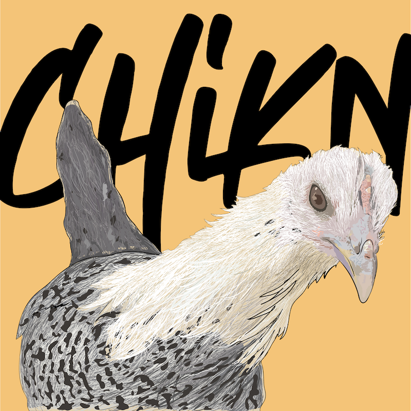 Digital Portrait of a Chicken