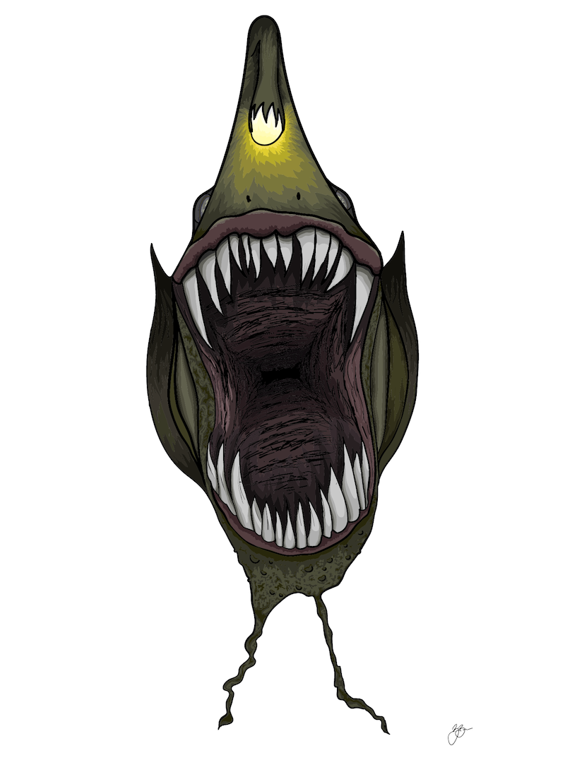 Digital illustration of a fish with sharp teeth